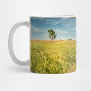 lone tree in the field Mug